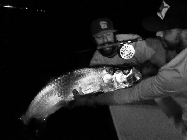 First tarpon ever, thanks to Court and Barracuda Dave.