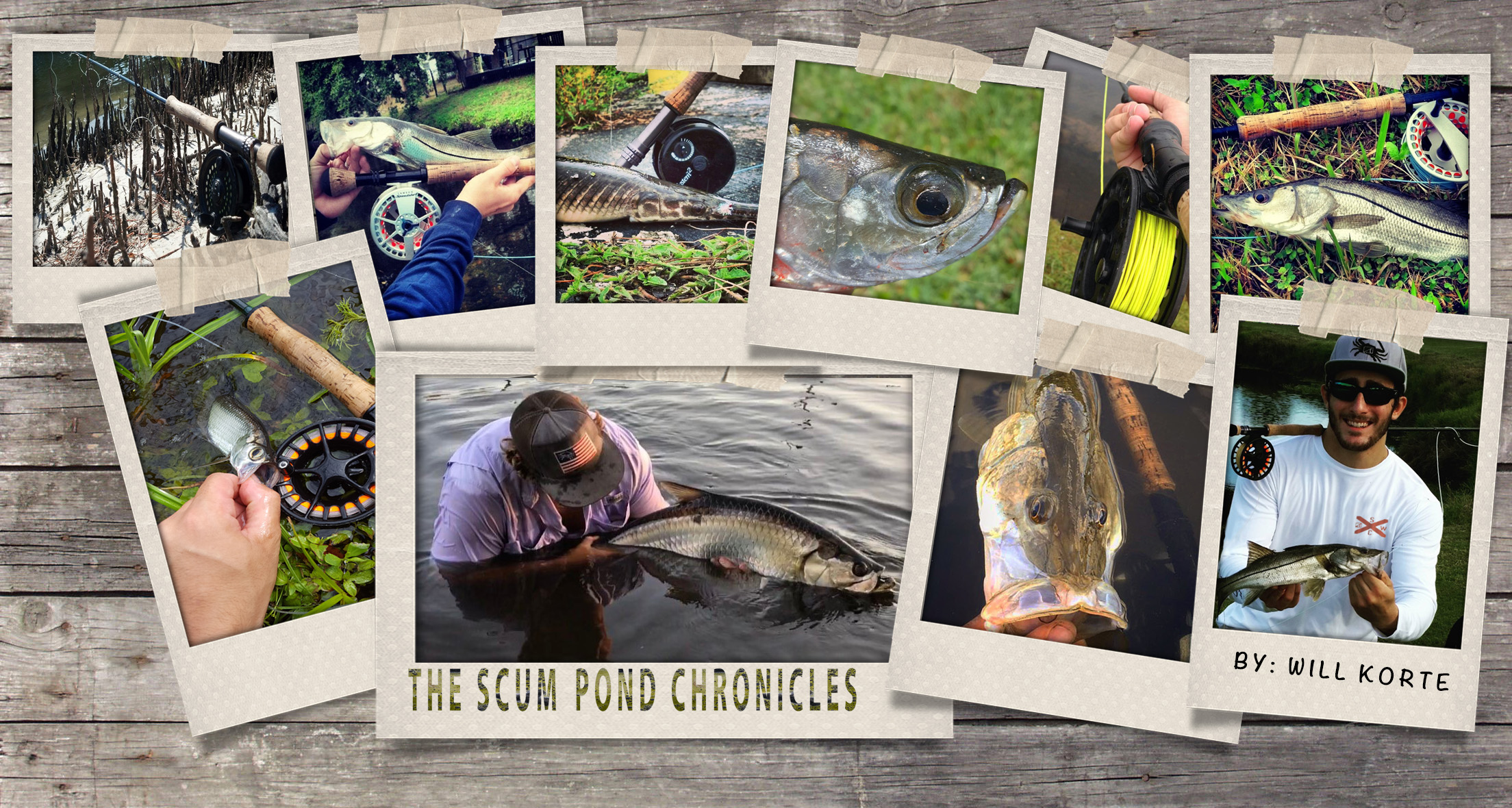 The Scum Pond Chronicles